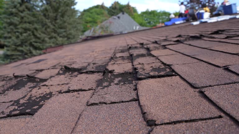 Best Roof Insulation Installation  in Gallipolis, OH